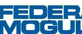 Federal Mogul 