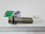 Болт вкладиша маточини колеса заднього МТЗ 50-3104028 (фото 4)