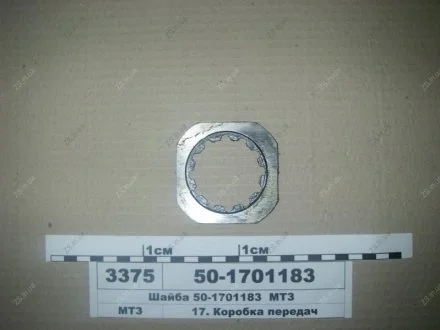 Шайба упорная МТЗ 50-1701183
