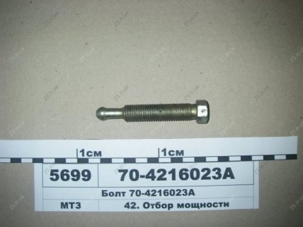 Болт МТЗ 70-4216023-А