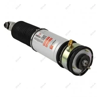 Амортизатор задний правый OEM37126785538 (HORT) Hort HA32121