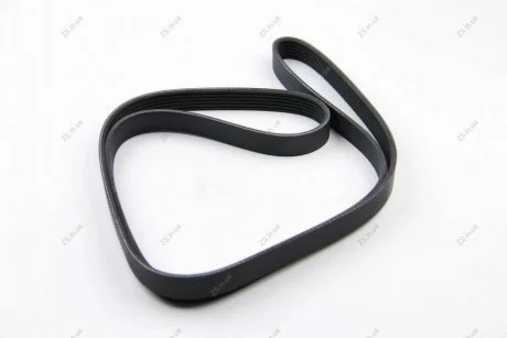 Ремінь поліклін. Gates 6PK1555