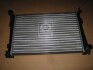 Радіатор охолодження FORD FIESTA 01-08, MAZDA 2 03- Tempest TP.151062028A (фото 1)
