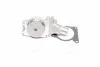 Водяний насос CHERY AMULET/A11/A15 03-, ZAZ FORZA Rider RD.4801307010BA (фото 1)