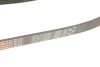 Поликлиновые ремни Micro-V StretchFit (Пр-во) Gates 6PK1249SF (фото 4)