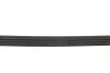 Ремінь поліклін. Розпродаж Gates 4PK1195 (фото 3)