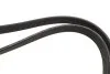 Поликлиновые ремни Micro-V DPK Gates 7DPK2074 (фото 3)