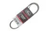 Поликлиновые ремни Micro-V XS Gates 6PK1073EST (фото 2)