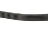 Поліклінові ремені Micro-V Gates 6PK2625 (фото 3)