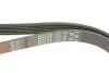 Поліклінові ремені Micro-V Gates 6PK1750 (фото 4)