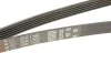 Поліклінові ремені Micro-V Gates 5PK1765 (фото 5)