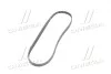 Ремень поликлин. Gates 5PK1163 (фото 4)
