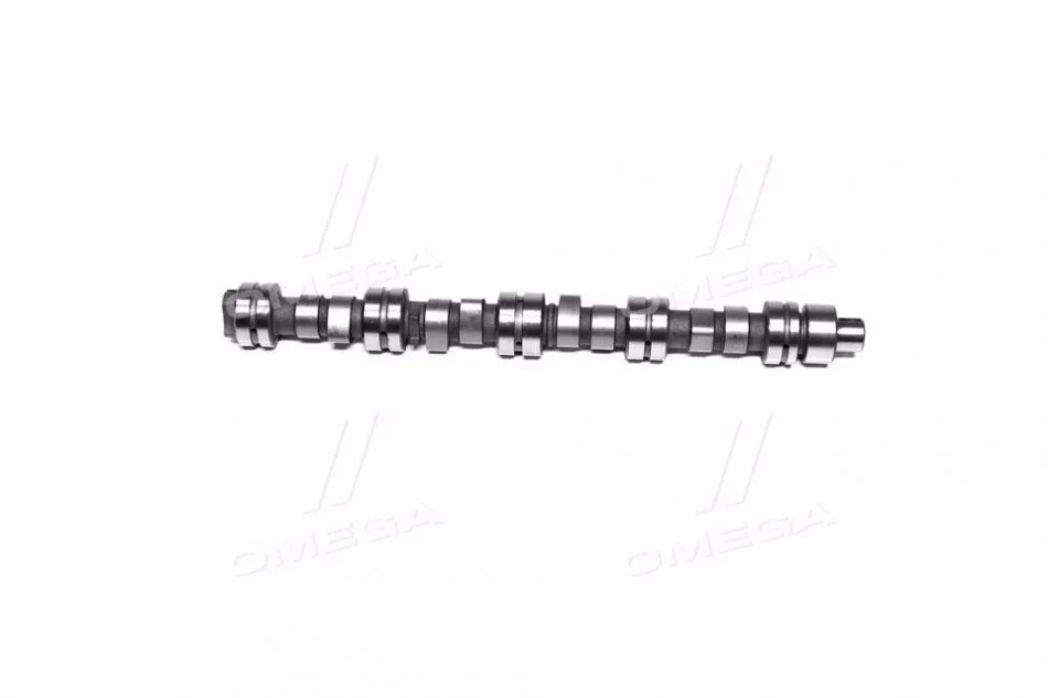 Розподільний вал CHERY AMULET (RIDER) Rider RD.480EEBJ1006015 (фото 1)
