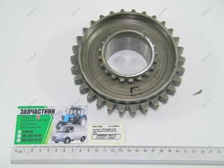 Шестерня КПП МТЗ 922/923, Z=30 МЗШ 74-1721080-01