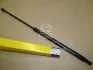 Амортизатор багажника/капота NISSAN X-Trail (Magneti Marelli кор.код. GS0874) MagnetiMarelli 430719087400 (фото 2)
