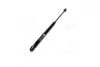 Амортизатор багажника SKODA Octavia (1U2) (Magneti Marelli кор.код. GS0216) MagnetiMarelli 430719021600 (фото 2)
