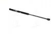 Амортизатор багажника SKODA Octavia (1U2) (Magneti Marelli кор.код. GS0216) MagnetiMarelli 430719021600 (фото 3)