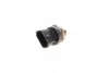 Датчик топливной рейки Ducato 2.0D-3.0D Multijet/Jumper 3.0HDI 06- Bosch 0281006164 (фото 5)