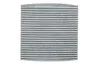 Фільтр салону RENAULT LOGAN II, MCV II, CAPTUR 13- вугільний (WIX-FILTERS) WIX FILTERS WP2111 (фото 1)