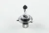 Лампа накаливания H4 12V 60/55W P43t-38 LongerLife Ecovision Philips 12342LLECOC1 (фото 1)