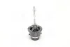 Лампа ксеноновая D2S XENARC CLASSIC 85В, 35Вт, P32d-2 4150К OSRAM 66240CLC (фото 4)