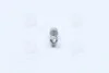 Лампа софітна допоможе. освітлення C10W 12V 10W SV8.5-8 OSRAM 6438 (фото 2)