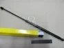 Амортизатор багажника SKODA (Magneti Marelli кор.код. GS0730) MagnetiMarelli 430719073000 (фото 2)