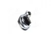 Опора двигателя OPEL MOVANO/RENAULT MASTER (Magneti Marelli) MagnetiMarelli 030607010703 (фото 4)