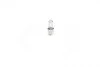 Лампа розжарювання H6W 12V 6W BAX9s PURE LIGHT Bosch 1 987 302 232 (фото 2)
