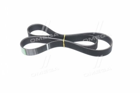 Ремінь поліклінової (R211183)(про-во) OPTIBELT 1003119