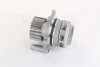Водяной насос (Magneti Marelli кор.код. WPQ1180) MagnetiMarelli 352316171180 (фото 1)