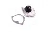 Водяний насос (Magneti Marelli кор.код. WPQ0986) MagnetiMarelli 352316170986 (фото 2)