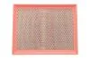 Фільтр повітряний /AP020/2 (WIX-Filtron) WIX FILTERS WA6696 (фото 1)