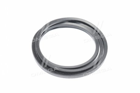 Ремень приводной (AH150678)(про-во) OPTIBELT 1002892