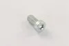 Винт с цил.головкой торкс ТНВД CP Bosch F01M100684 (фото 4)