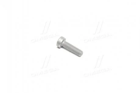 Винт с цилиндр головкой ТНВД Bosch F00N202191