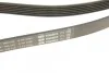 Ремень п-клиновой 6pk2060 (пр-во) Bosch 1 987 946 042 (фото 4)