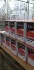 Жидкость торм. DOT4 (Канистра 4л) AXXIS 26461.4 (фото 1)