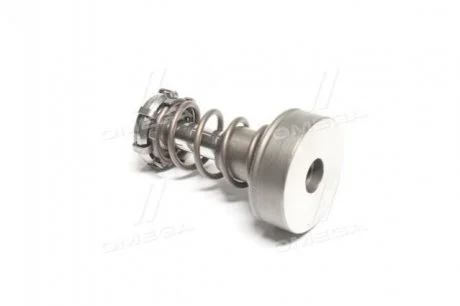 Плунжерна пара Bosch F01M101347