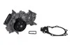 Водяний насос DACIA Logan 1.2 NISSAN Kubistar 1.2 16V RENAULT 1.2 16V Ruville 65513 INA 538 0046 10 (фото 1)