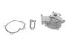 Водяний насос NISSAN PRIMERA (P11), 06/96 - 12/01 INA 538 0527 10 (фото 1)