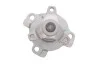 Водяний насос NISSAN QASHQAI / QASHQAI +2 I (J10, JJ10), 12/06 - 12/13 2.0 dCi (Вір-во) INA 538 0397 10 (фото 3)