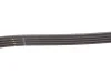 Поликлинные ремни Micro-V StretchFit (Выр-во) Gates 4PK895SF (фото 3)