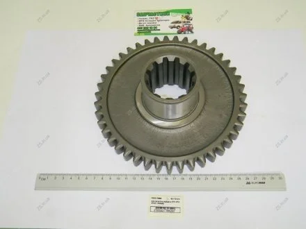 Шестерня 3-й передачі КПП МТЗ (Z = 43) Rider 50-1701214