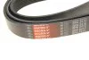 Поліклинові ремені Micro-V Gates 8PK2410 (фото 5)