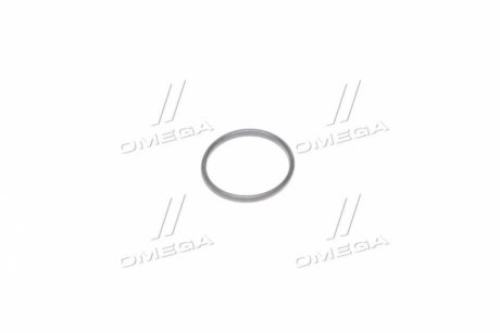 Фото 1 - кольцо ущ. втулки плунжера ТНВД (завод) Резинотехника ООО, г.Чайковский 236М-1111083-А Кольцо ущ. втулки плунжера ТНВД (завод) Резинотехника ООО, г.Чайковский 236М-1111083-А (фото 1)