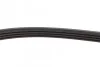 Ремень поликлин. CHEVROLET, DAEWOO Matiz (M200,M250) (M100) 0.8 (вы-во) DAYCO 4PK788 (фото 3)