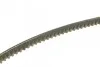 Ремень клиновый DAEWOO Nexia седан (KLETN) 1.5 (вы-во) DAYCO 13A0825C (фото 2)
