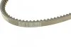 Ремень клиновый DAEWOO Nexia седан (KLETN) 1.5 (вы-во) DAYCO 13A0825C (фото 4)