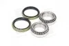 Подшипник ступицы FORD ESCORT 4x4 задн. (выр-во Complex) COMPLEX AUTOMOTIVE BEARINGS Sp.z.o.o. CX025 (фото 1)